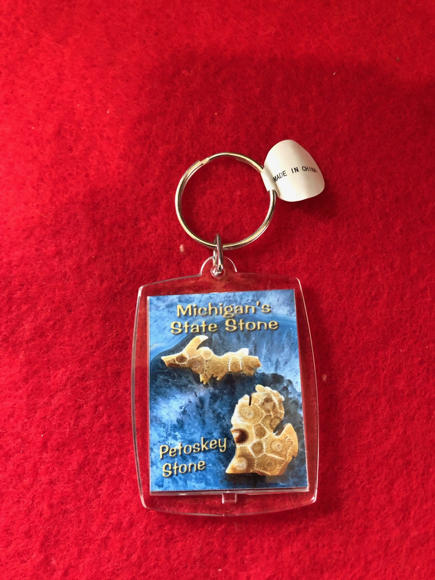 Petoskey discount stone keychain